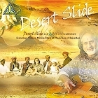 Desert Slide (2006)